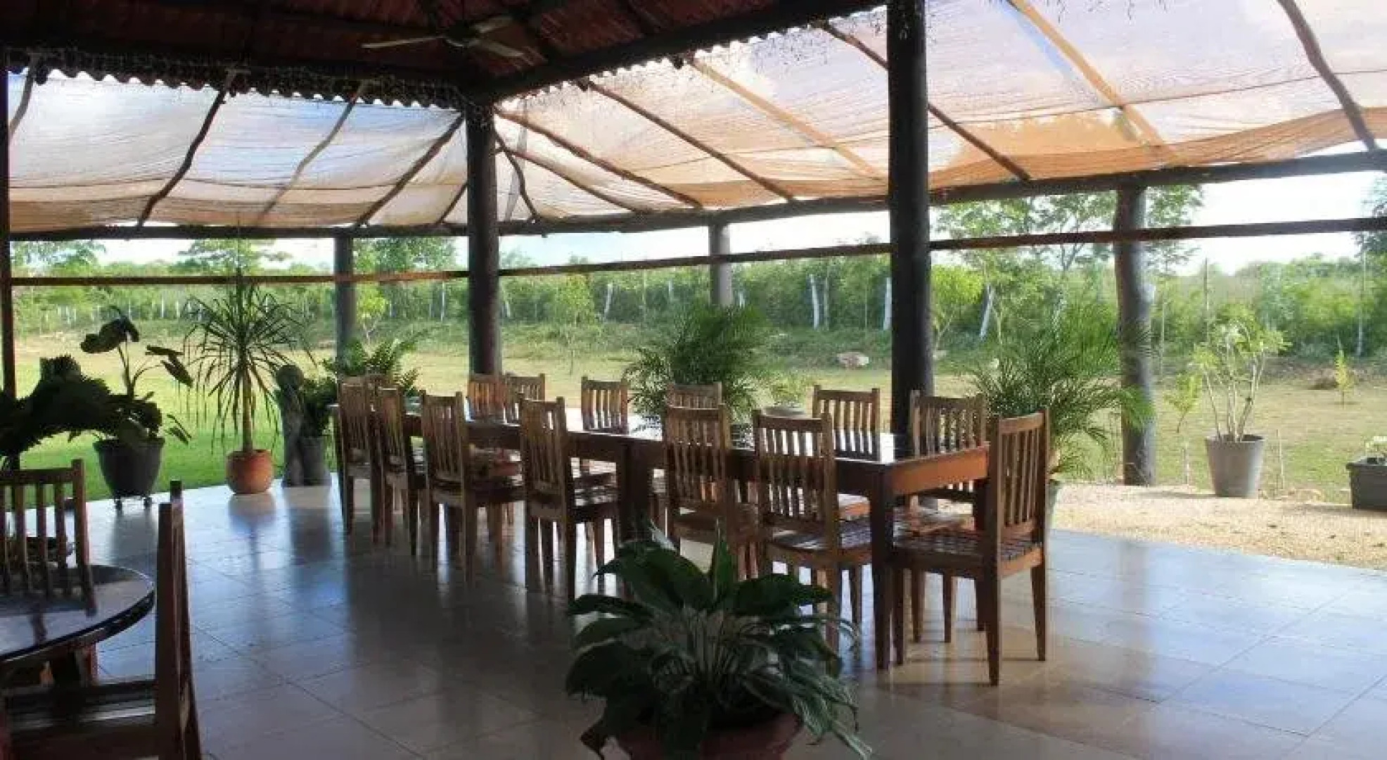 Real Primaveras Campestre