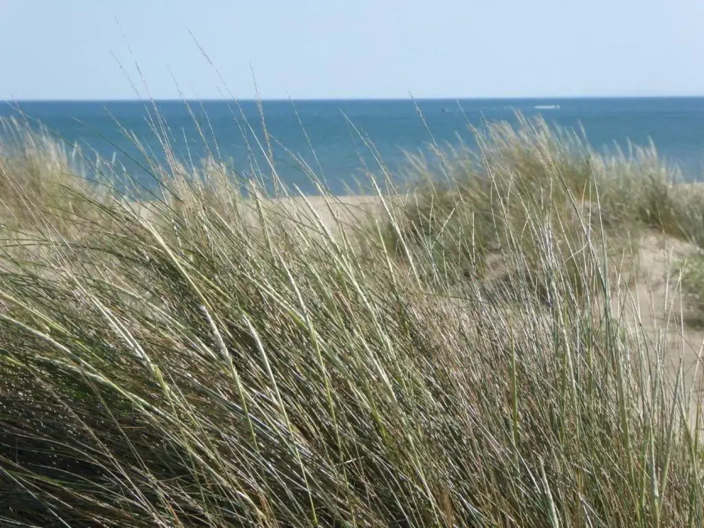 T2 à Sérignan Hérault
