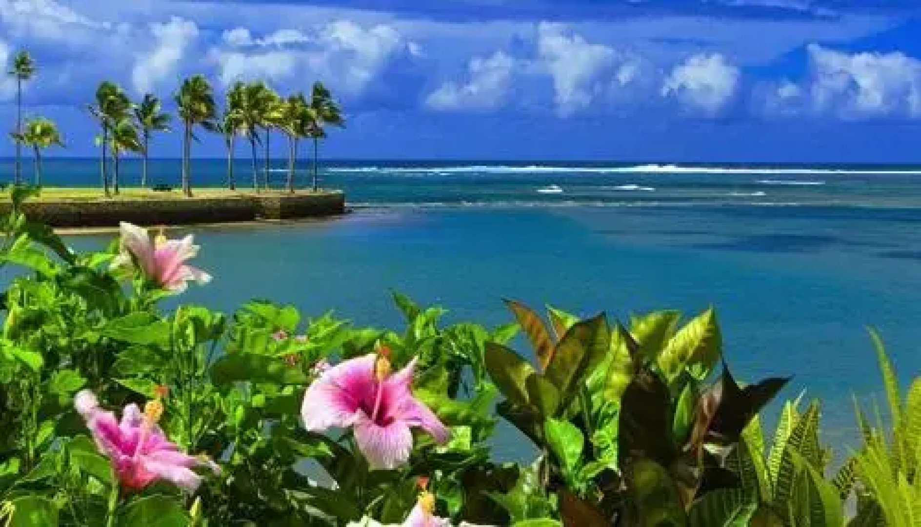 Fijian Star