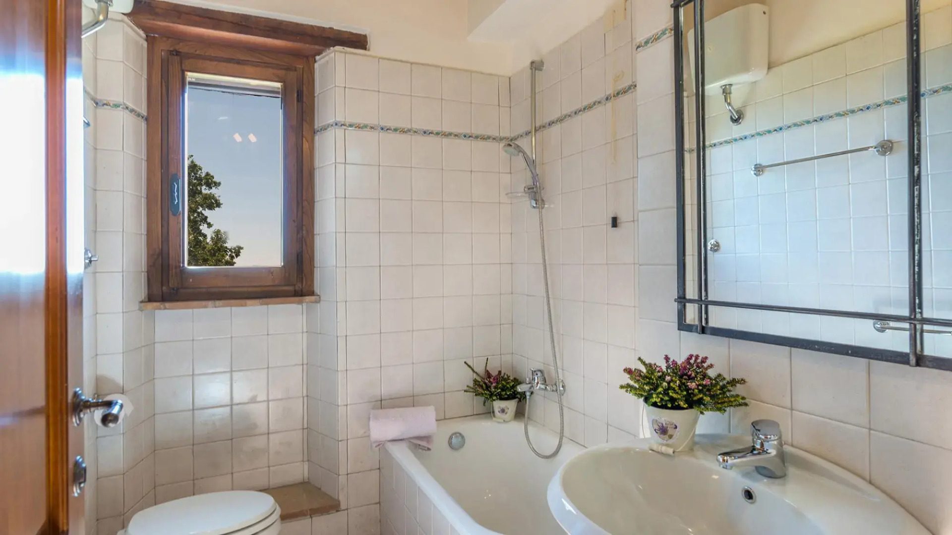 Santa Illuminata 20 12