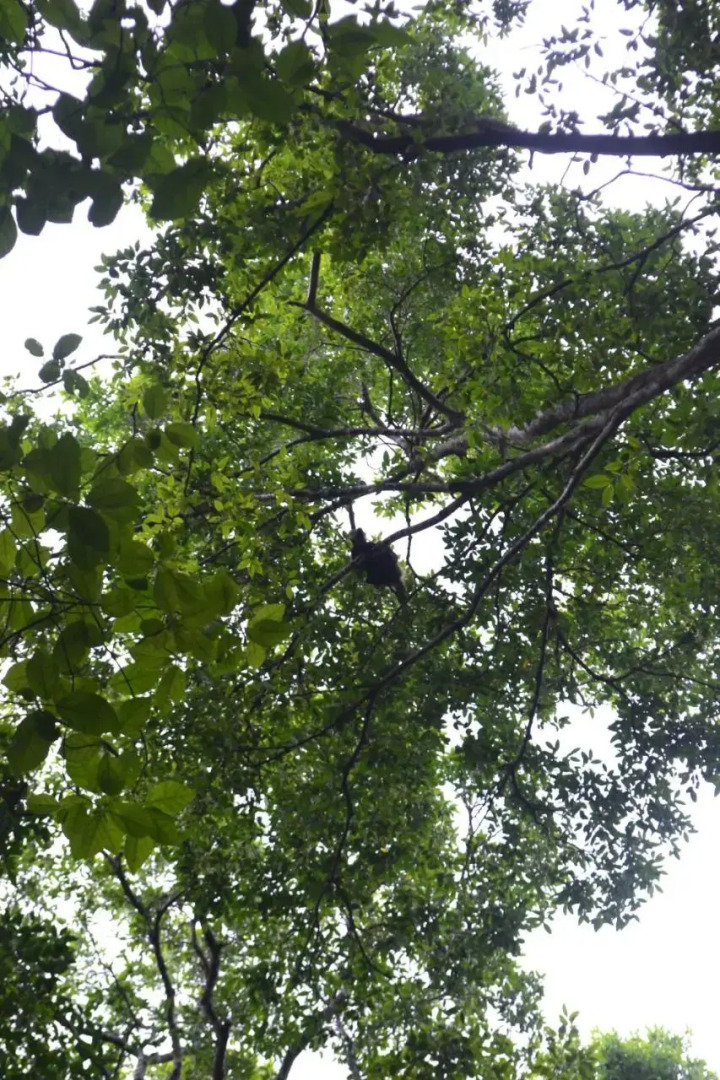 Posada Los Reyecitos