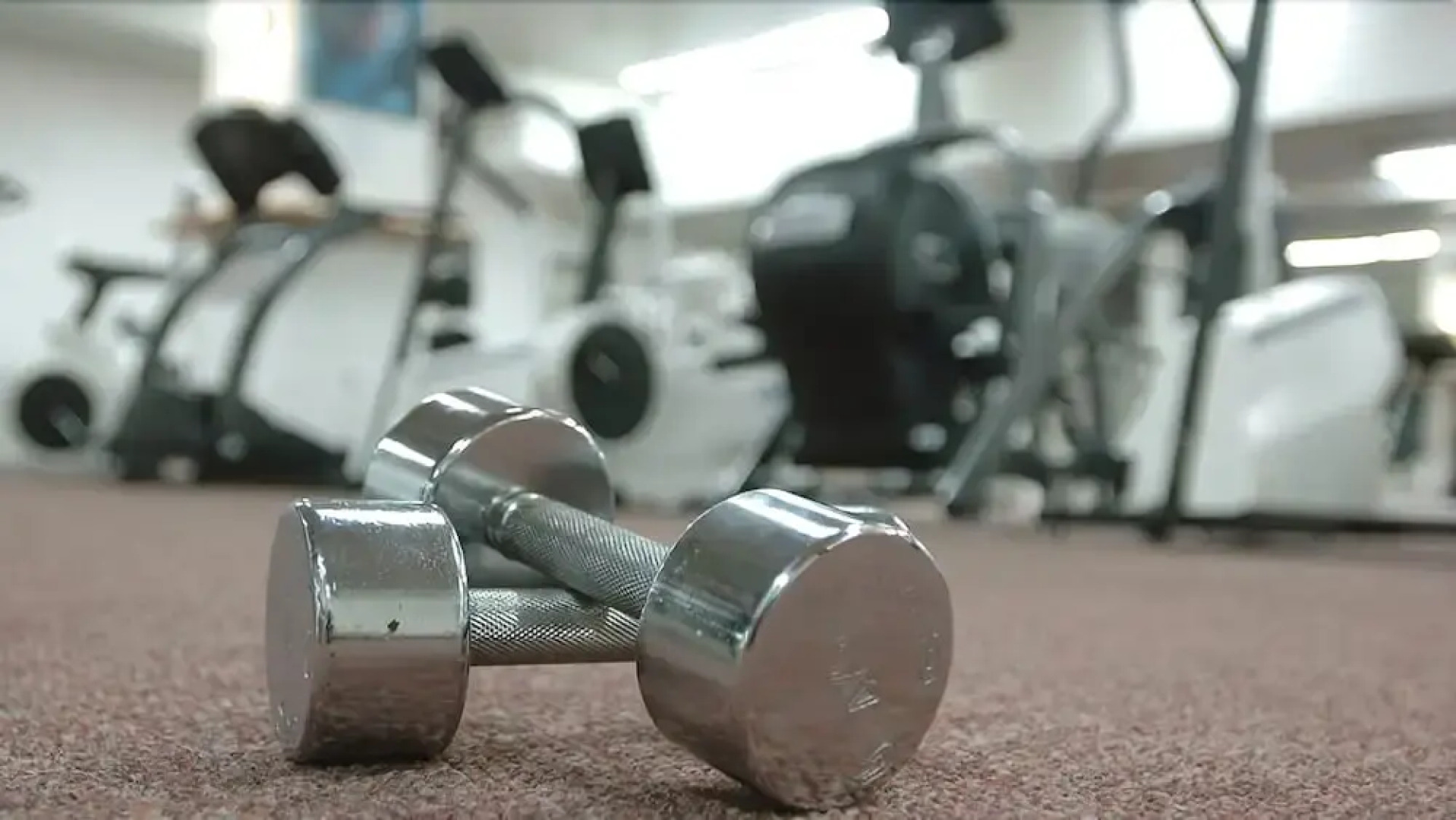 Отель Aleksandar Palace