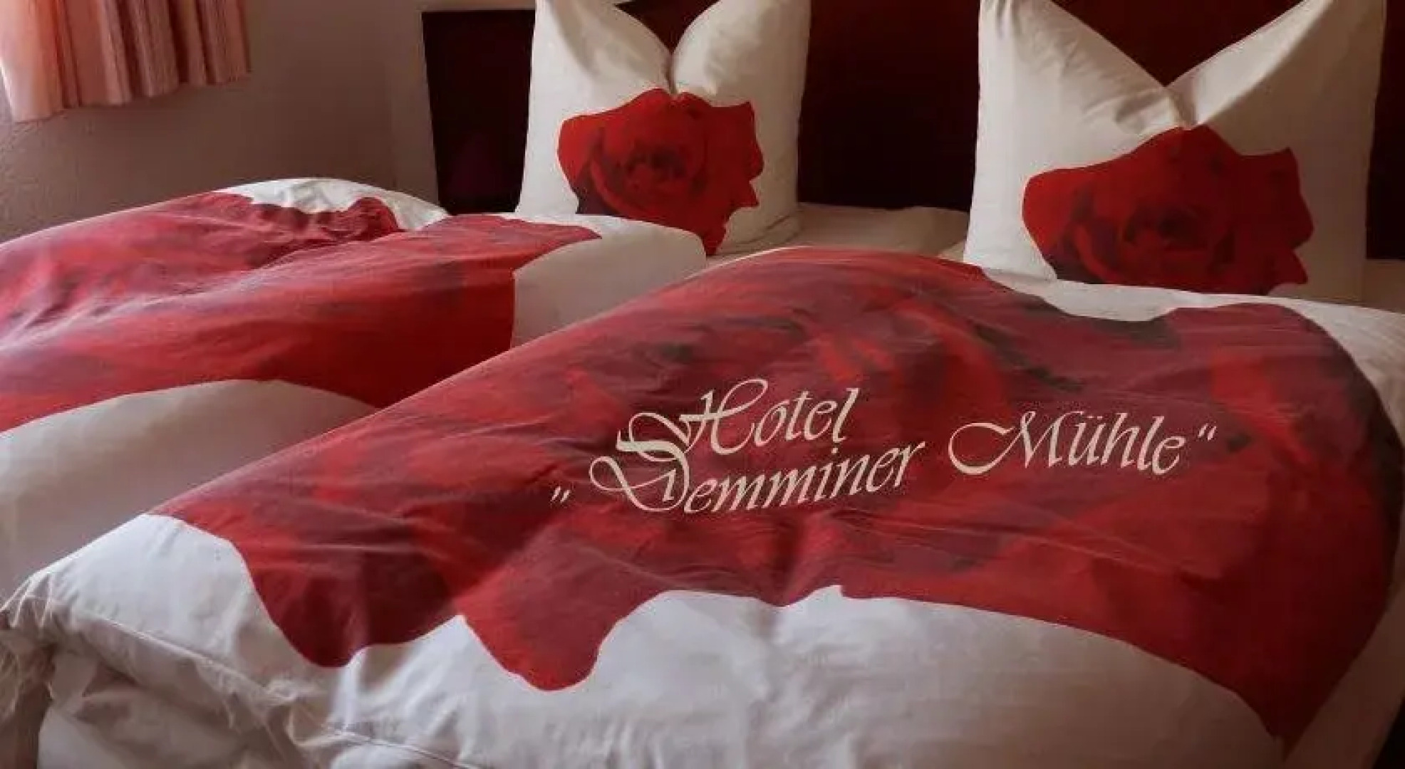 Hotel Demminer Mühle