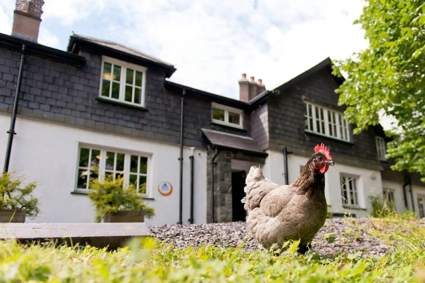 YHA Idwal Cottage