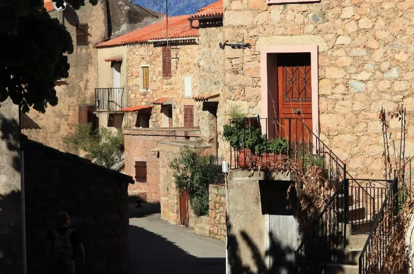 Résidence L'Alivetu