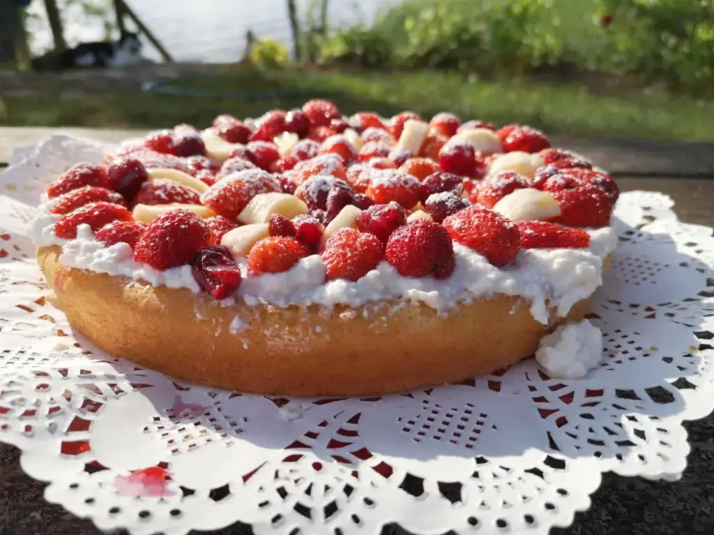 DvīņuMājas