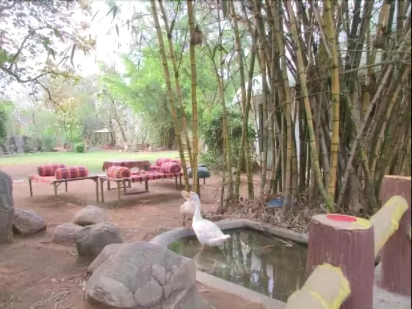 Treebo Premium Mowgli's Den, Pench