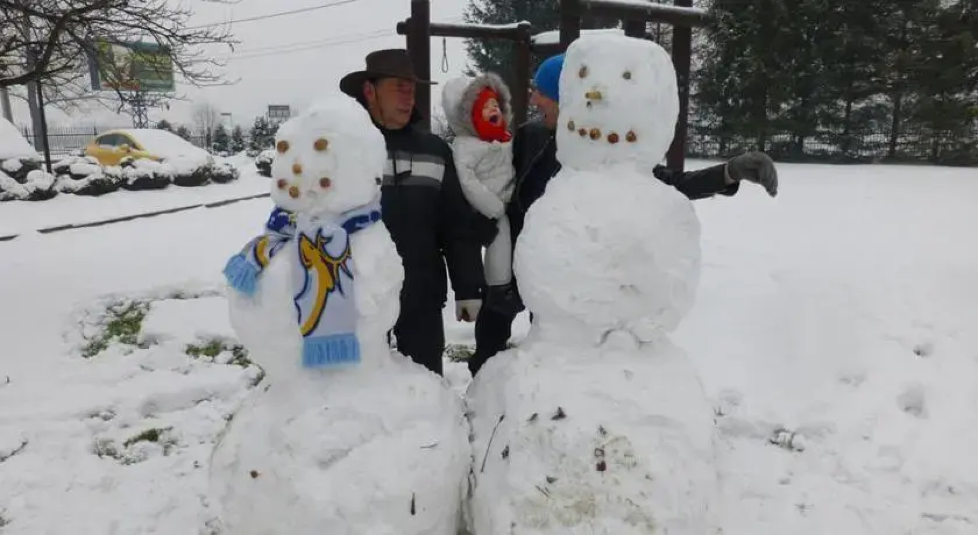 Bed & Breakfast Green Roof