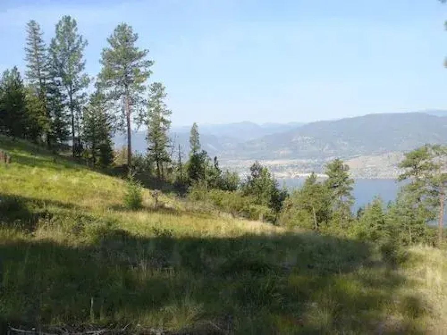 Crooked Tree Guest Suites