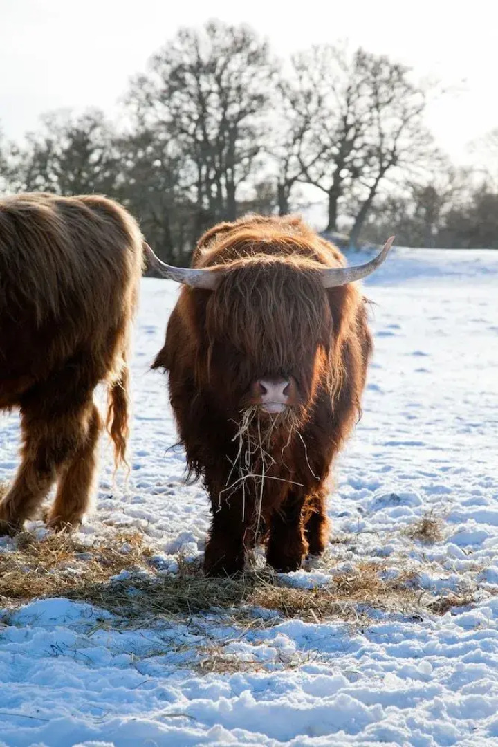 Richmond House Hotel