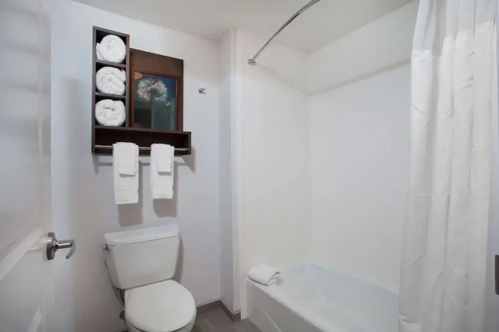 Homewood Suite By Hilton Saratoga Spring