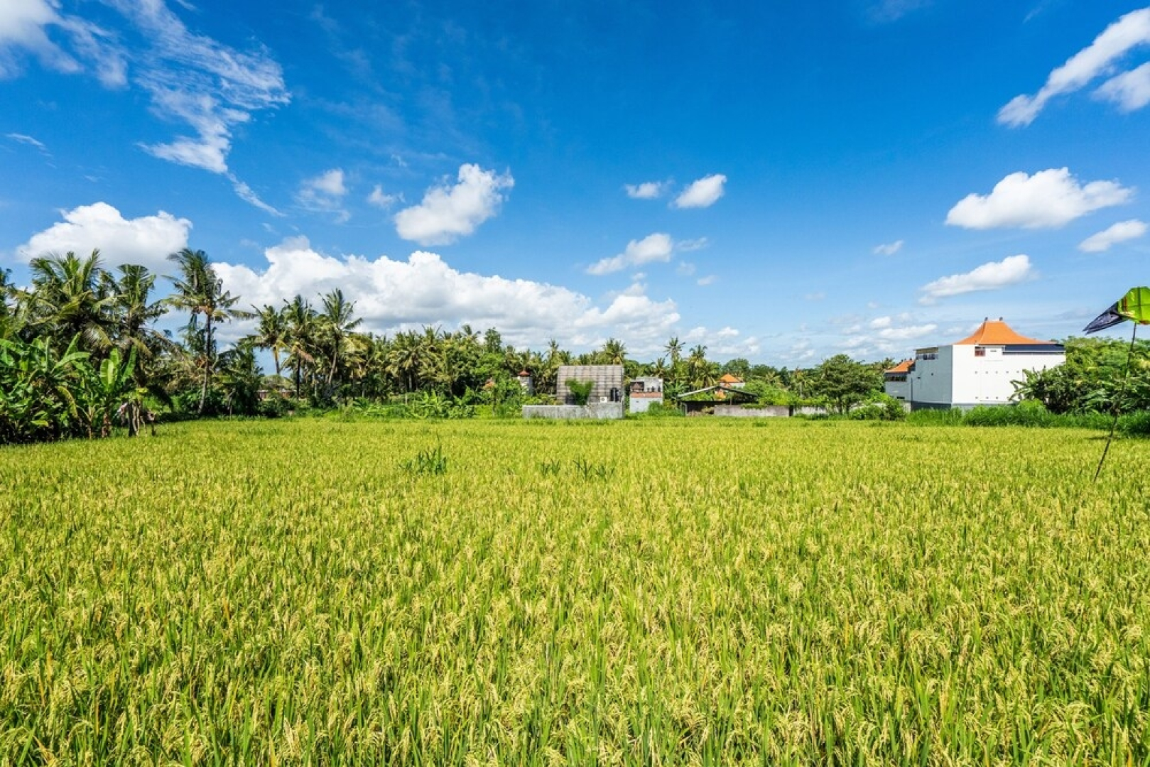Kutus Kutus Saba Beach Villas