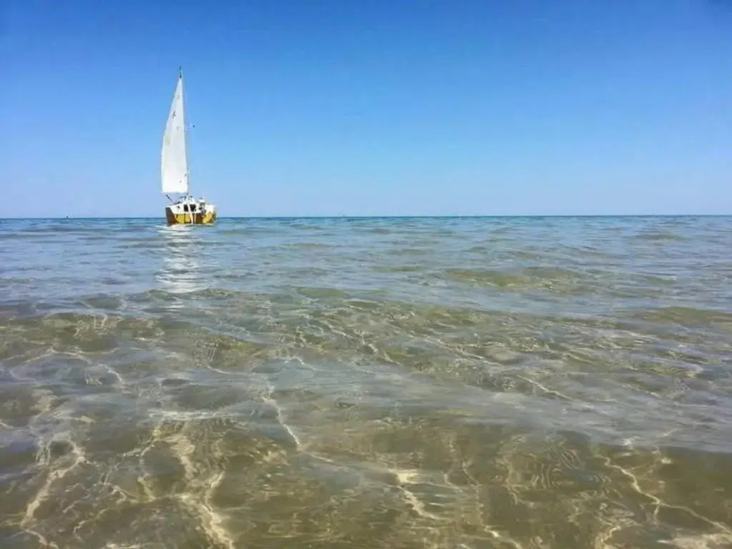 Ficus 2 Pineto Vacanza