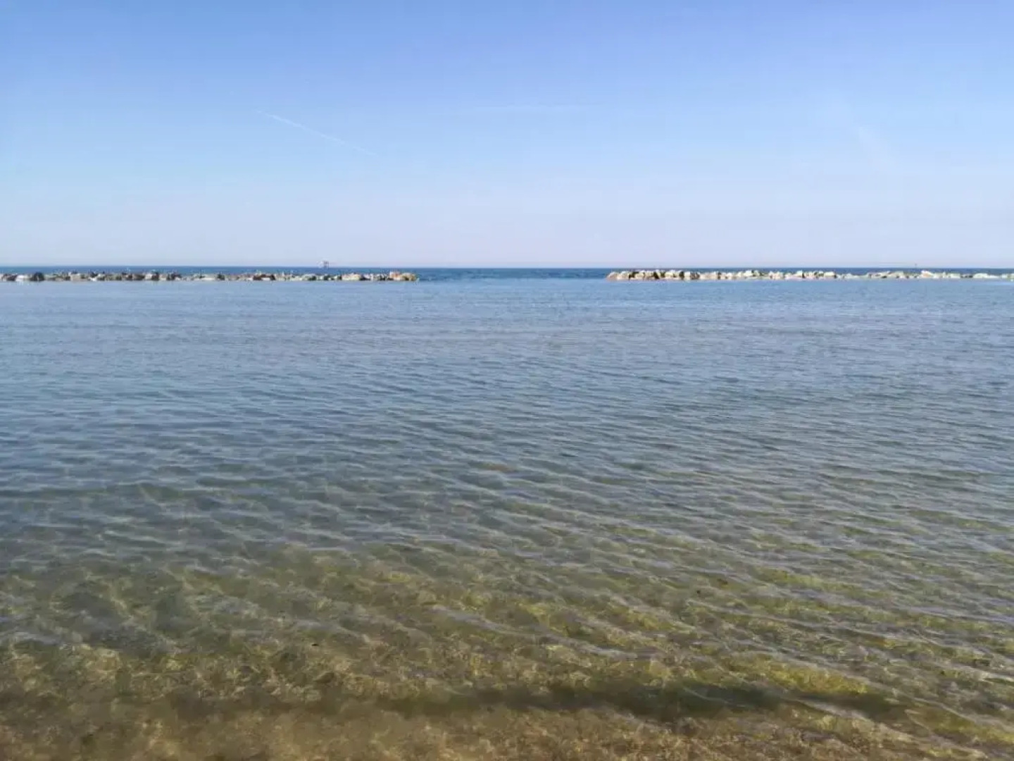 Il Giardino Fra Gli Ulivi