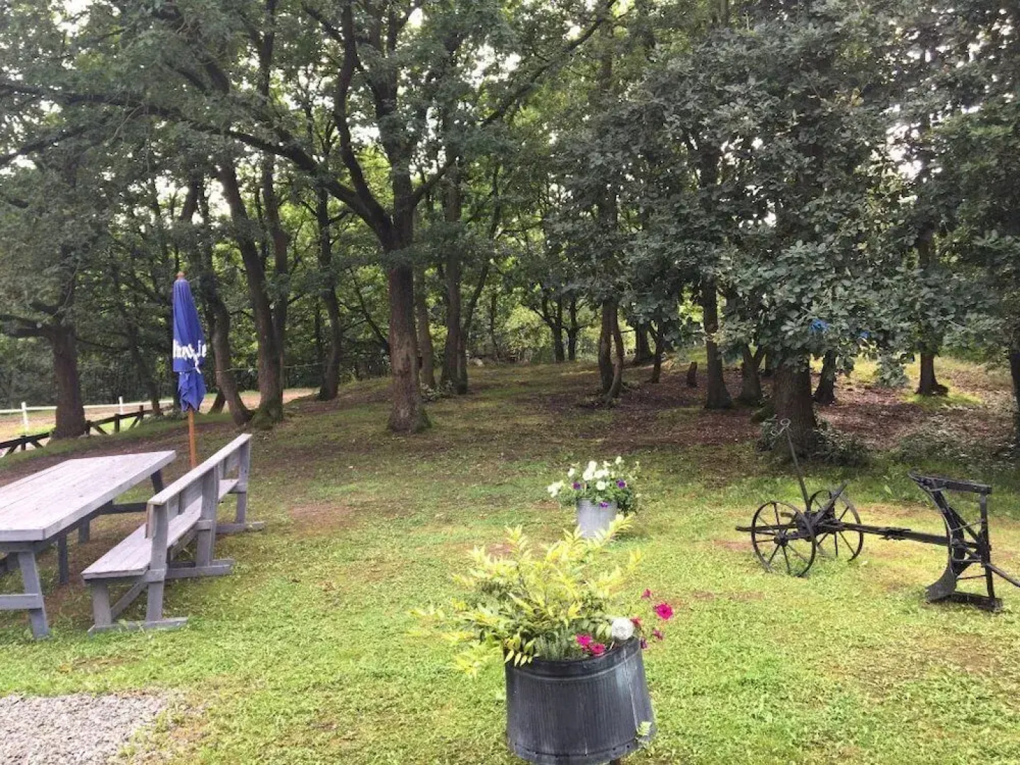 Guest House Western City