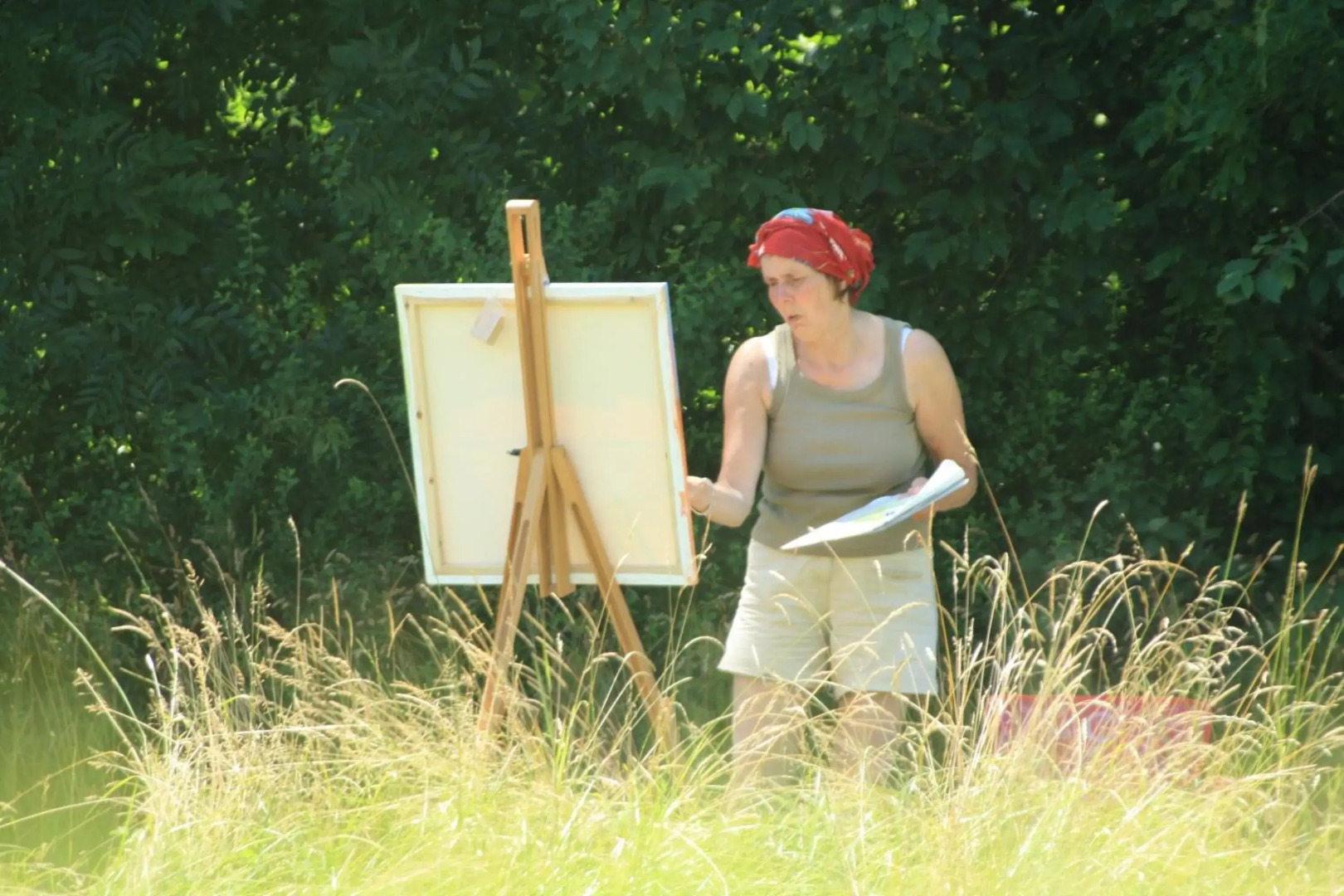 Chambre d'Hôtes la Fougeraie