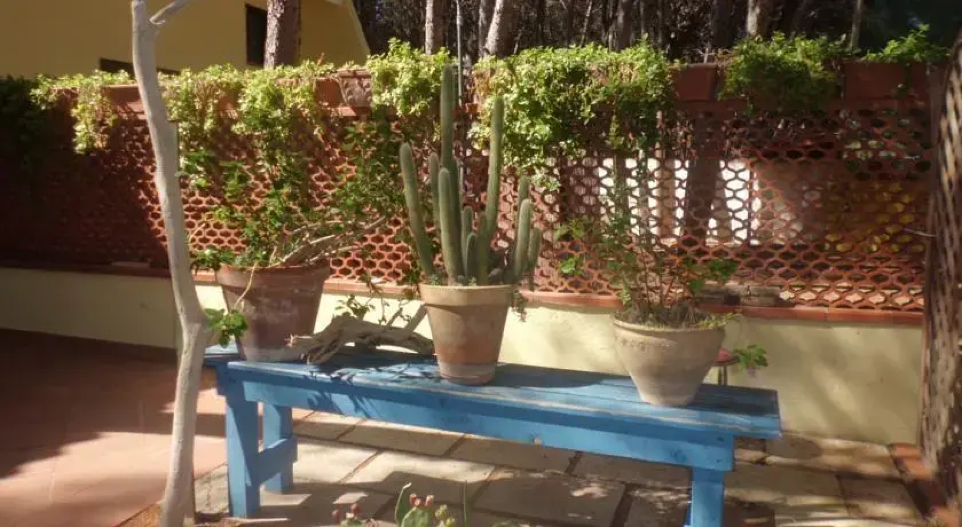 Suite Della Yucca