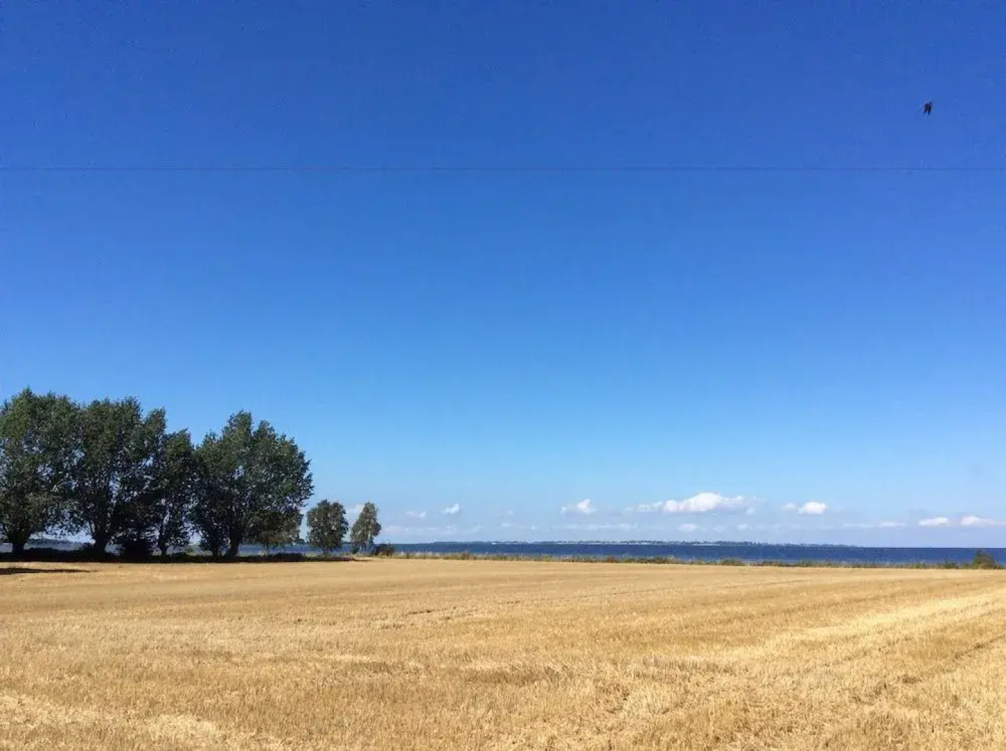 Askø Mejeri - Bed and Breakfast