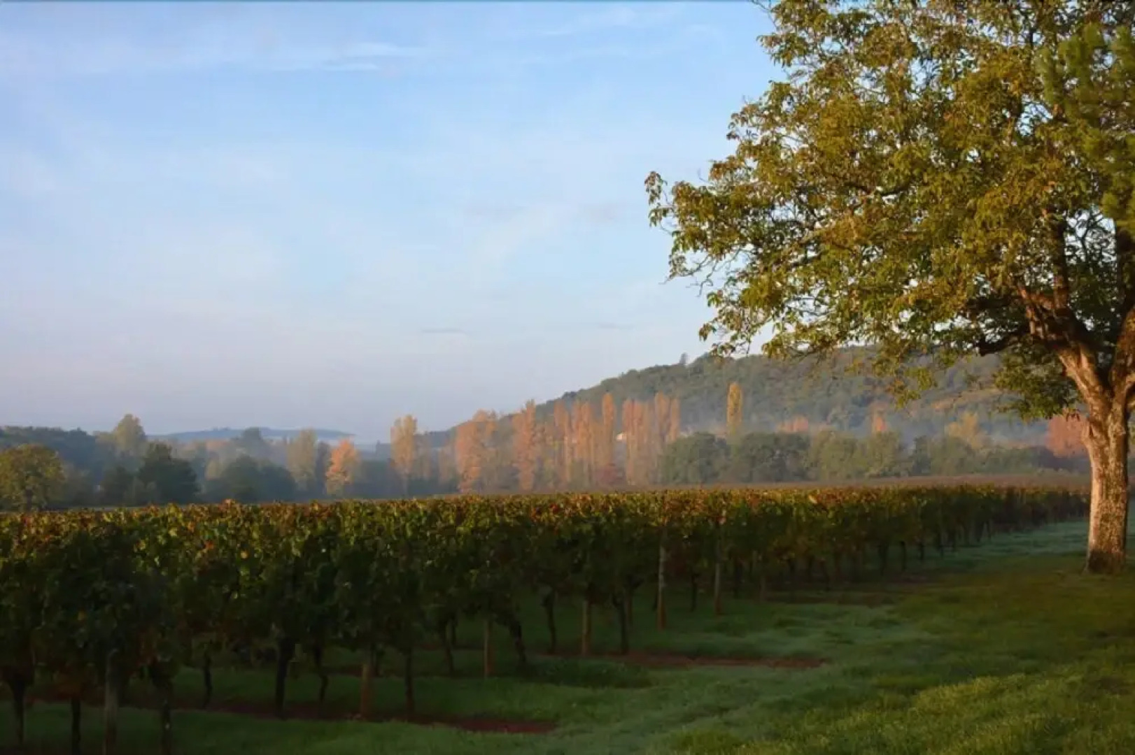 Wonderful location for weddings and parties by French château