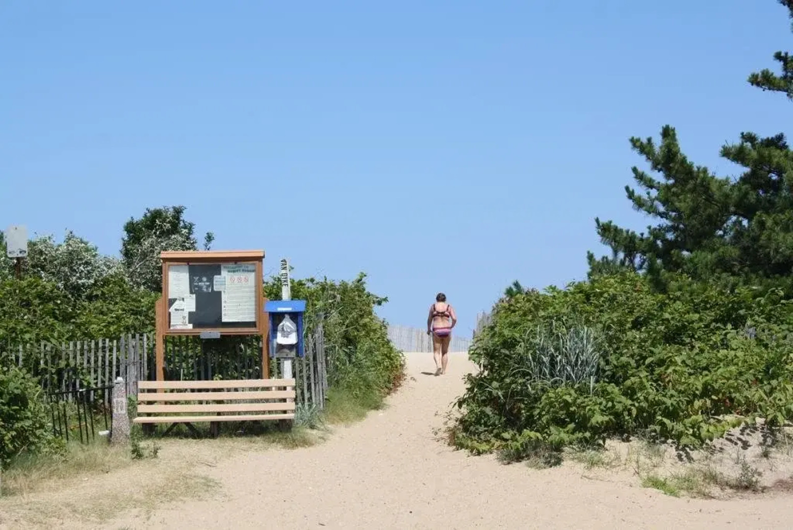 The Surf Shanty Motel