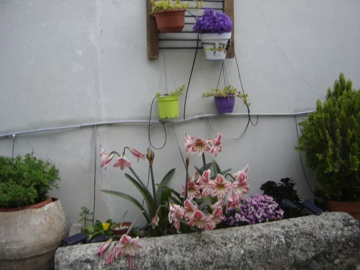 Casa rural La Bardena Blanca I