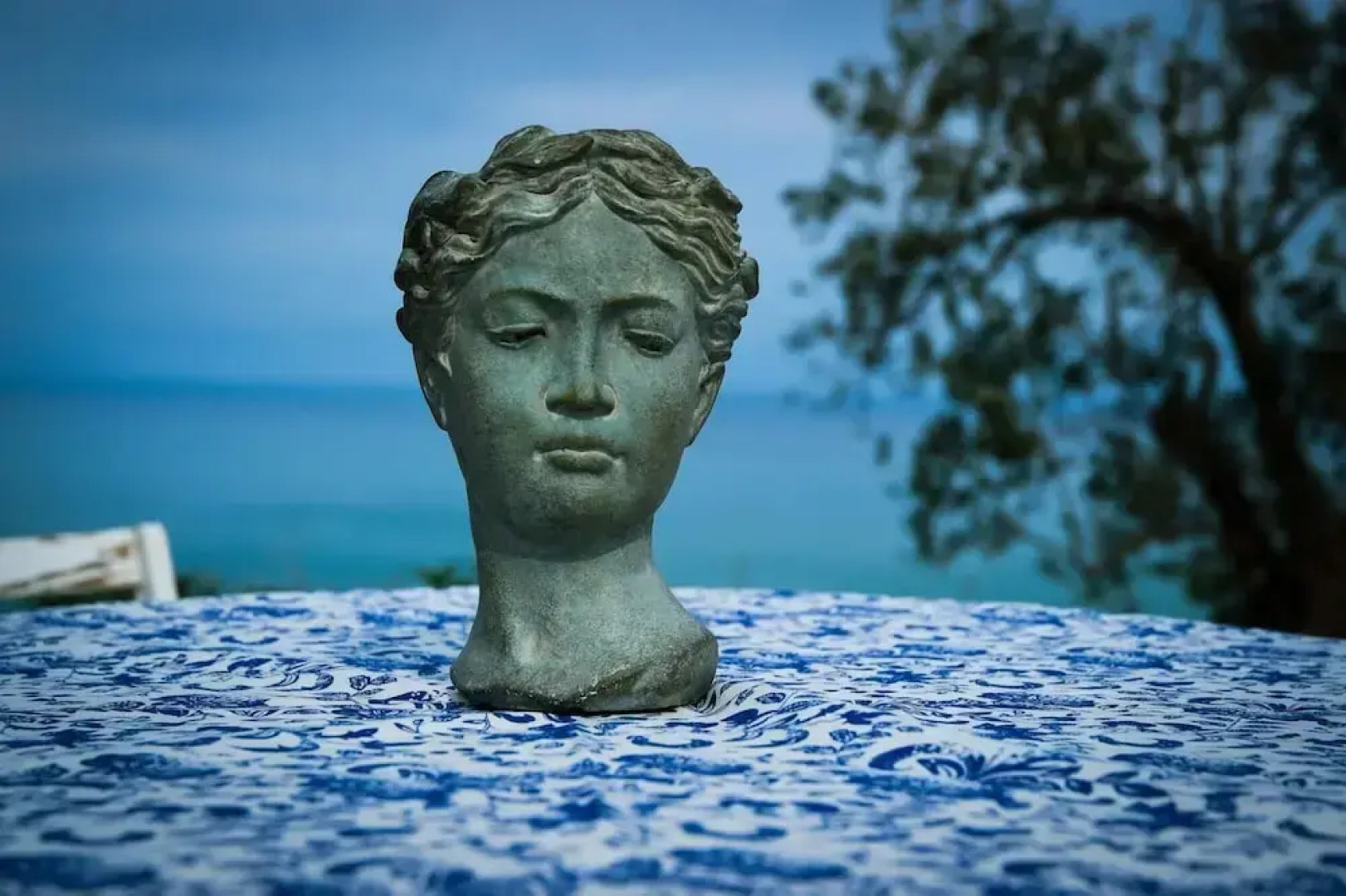 Easy Welcome Salvia - Cartolari County Apartments