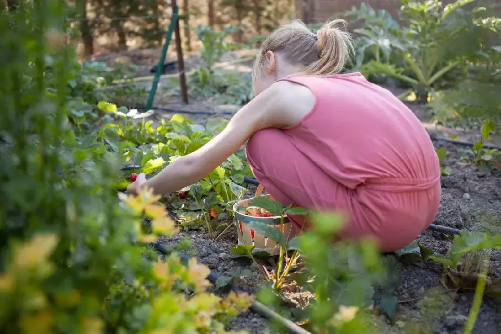 Château de la Motte