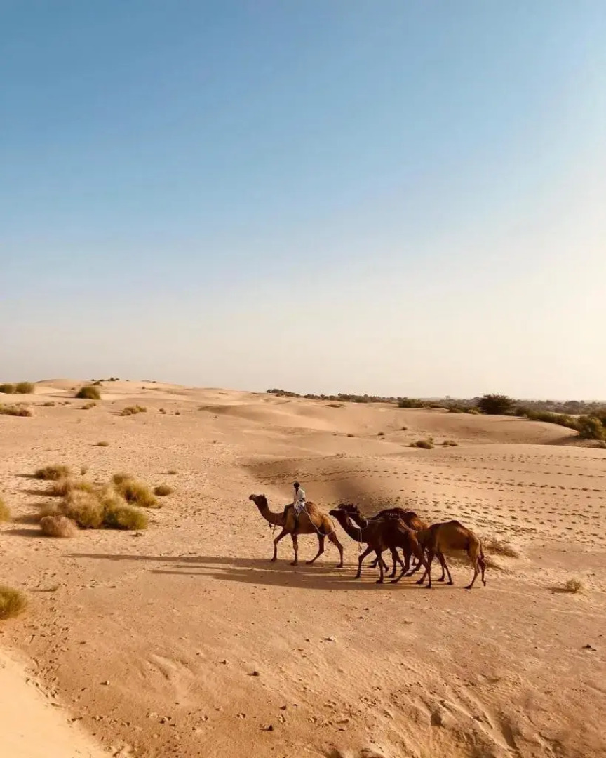 Hitesh Desert Safari Khuri