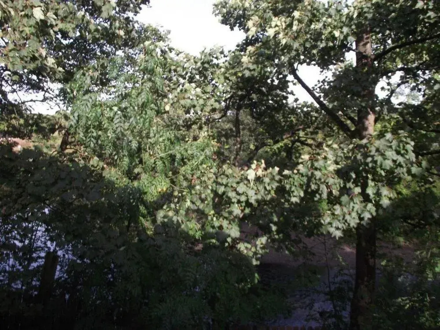 The Dalgarven House Hotel