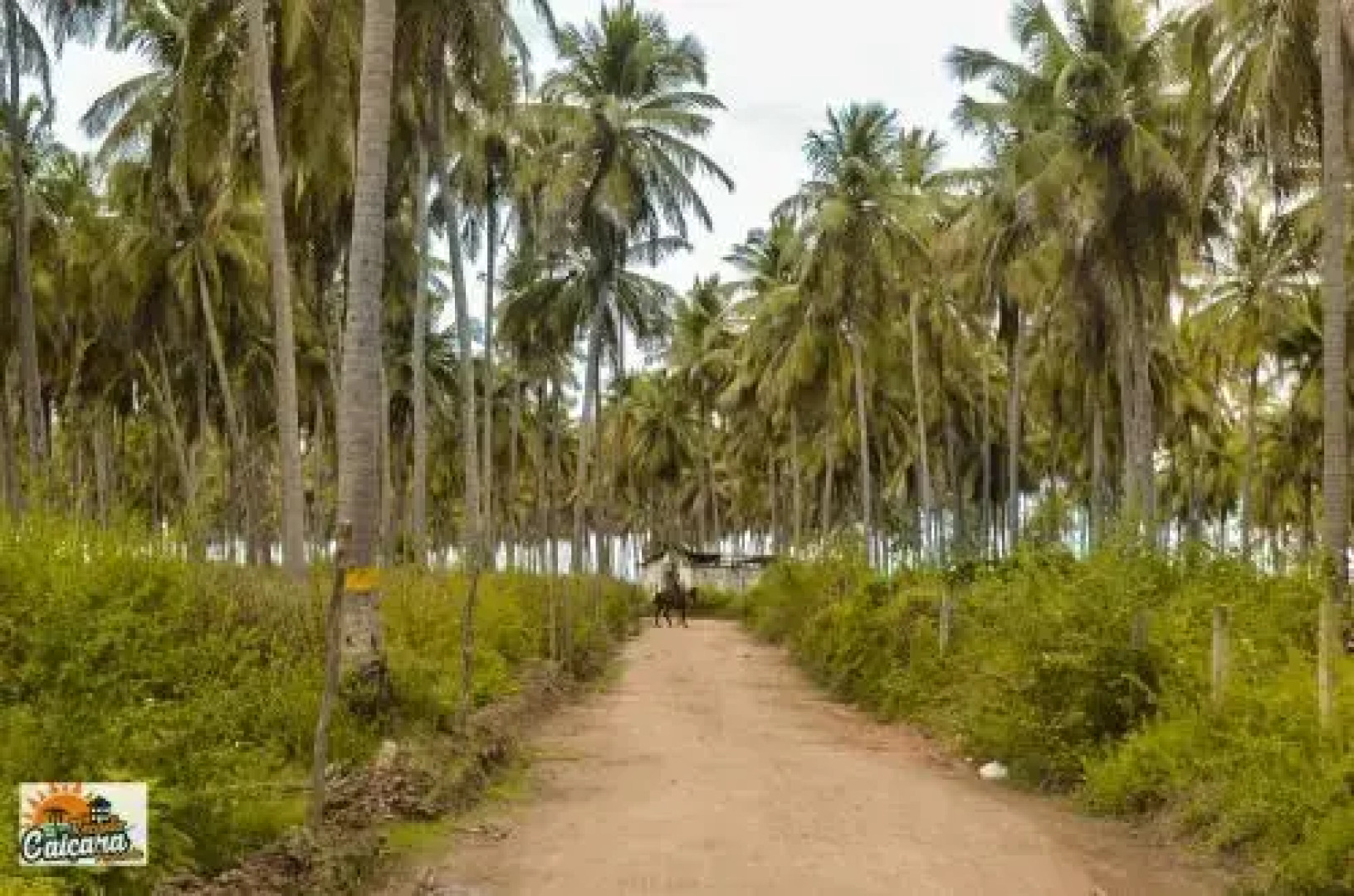 Chalés & Suites Caiçara