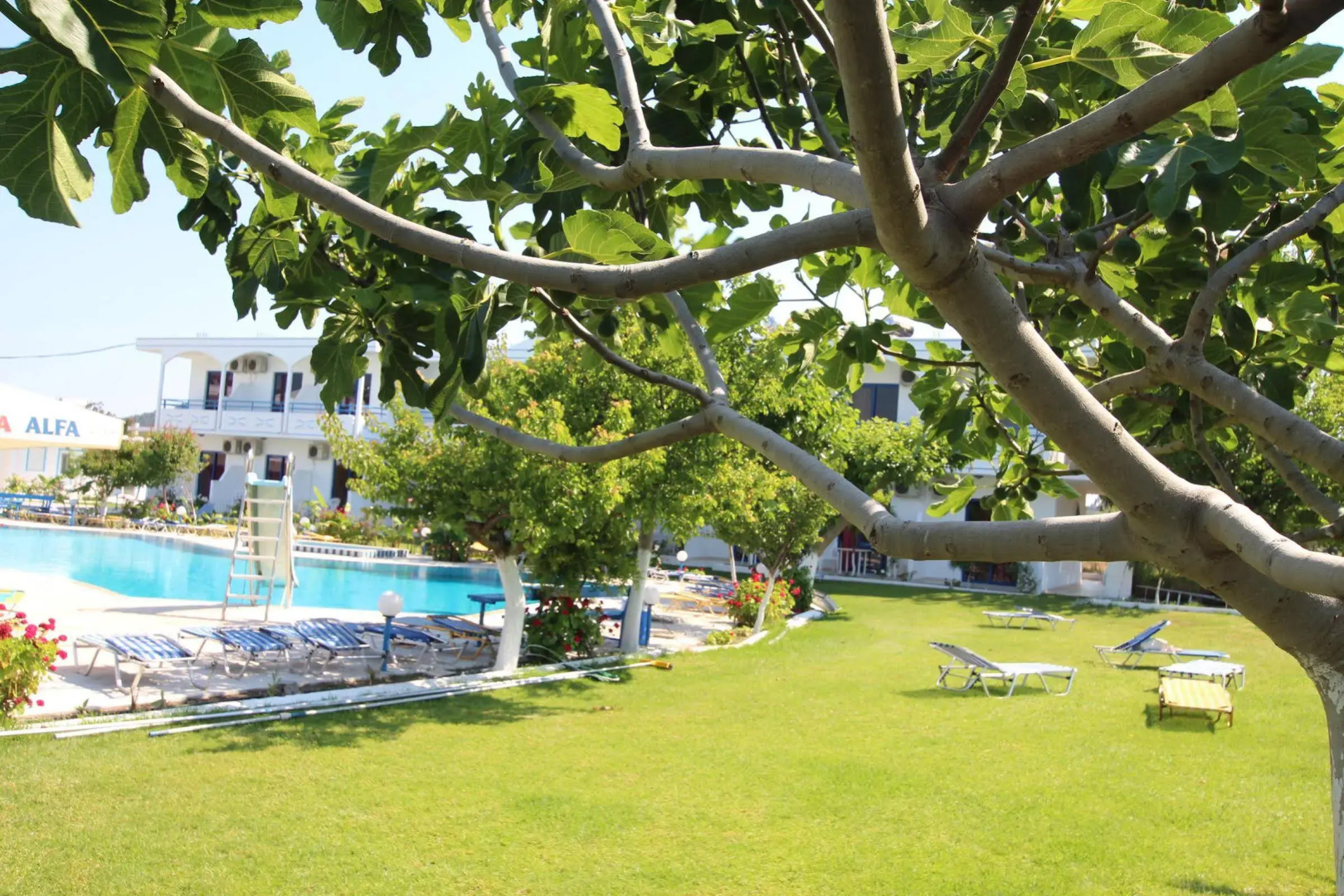 Garden Hotel