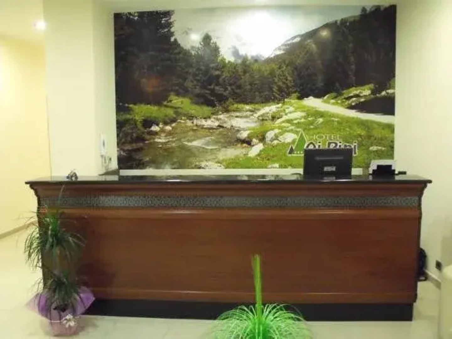 Hotel Ai Pini
