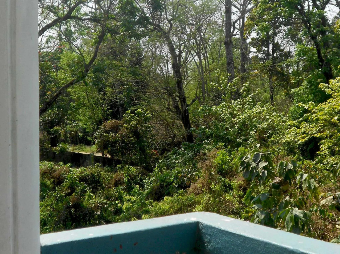 Eco Adventure Resort