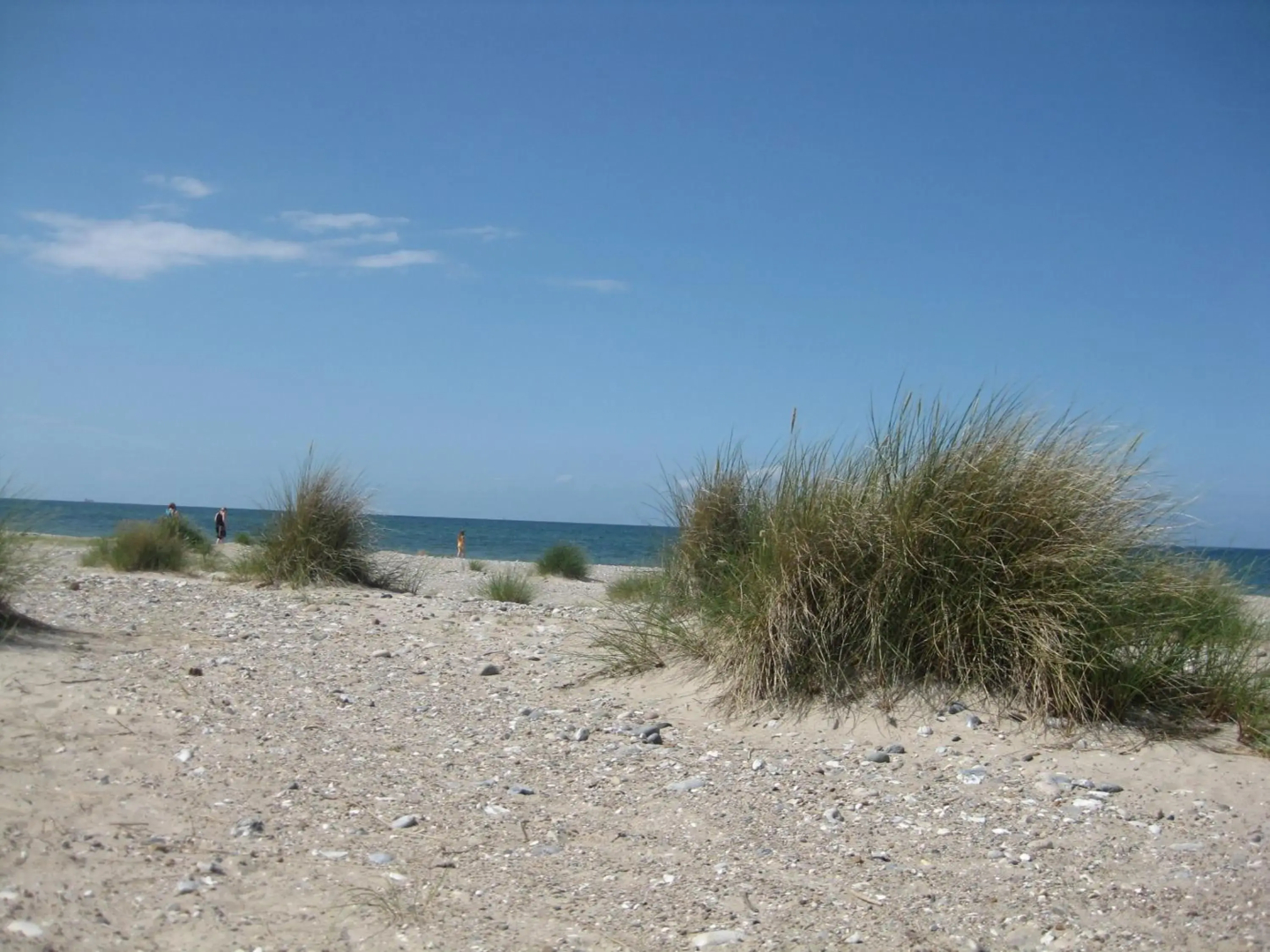 Ferienhof Christian und Antje Hopp