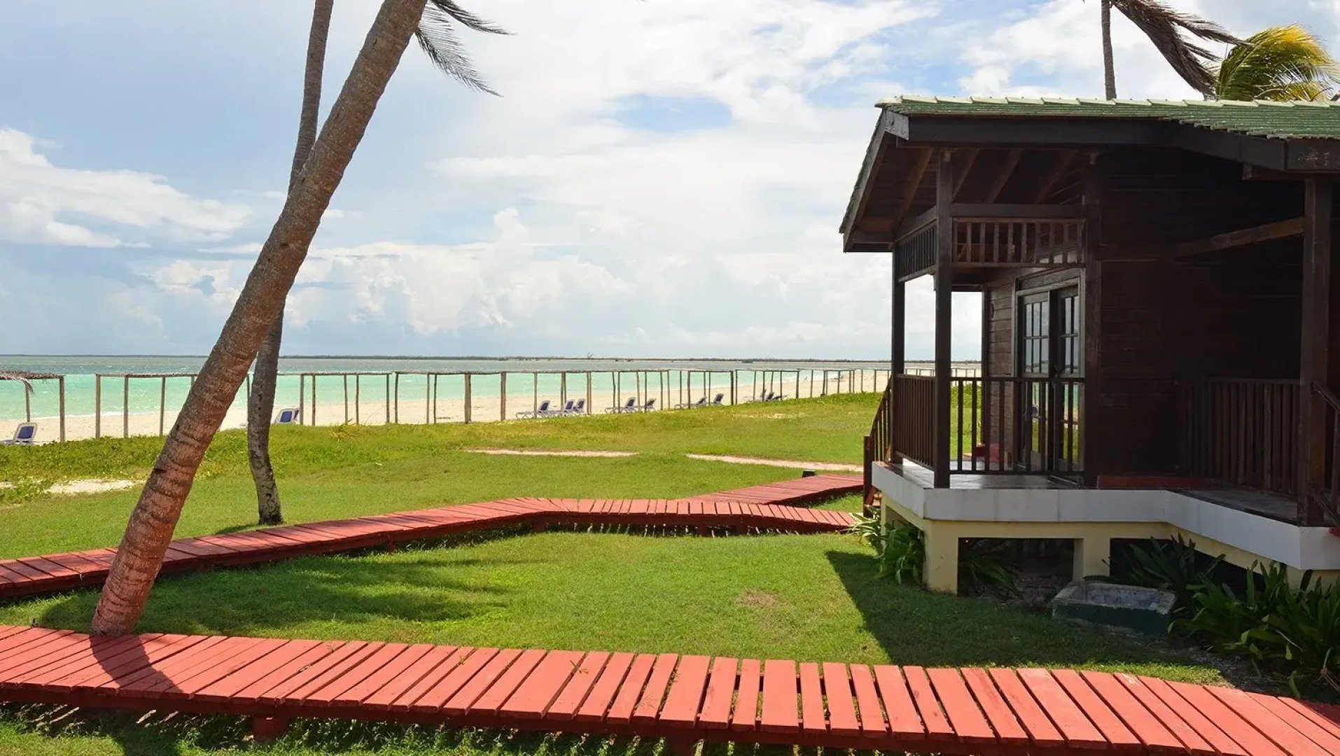 Starfish Cayo Guillermo