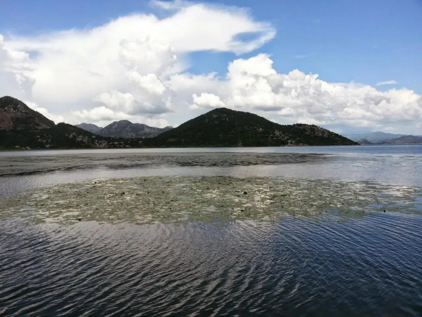 Guesthouse Skadar Lake