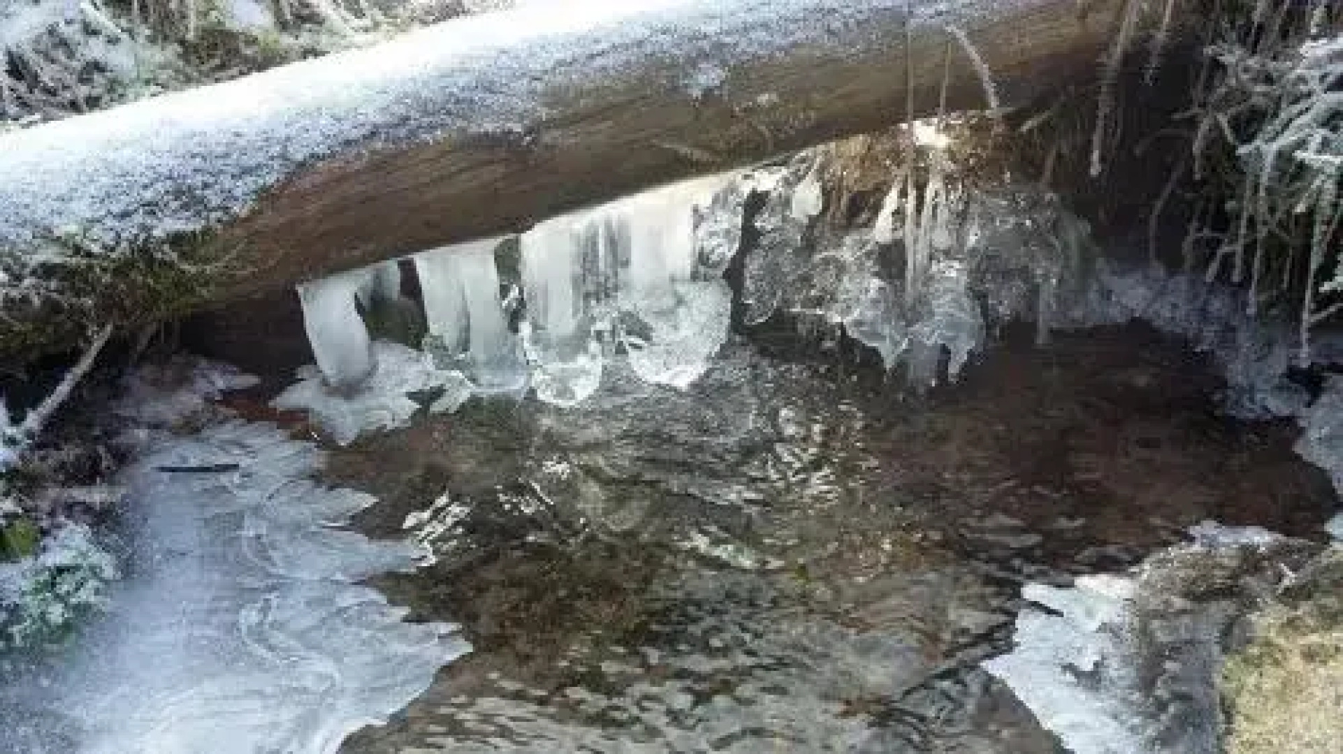 Ranczo Spełnionych Marzeń