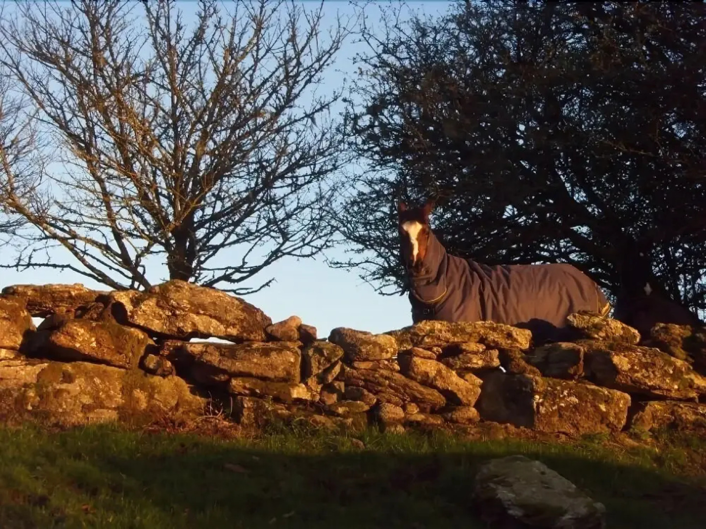 Wydemeet Bed and Breakfast