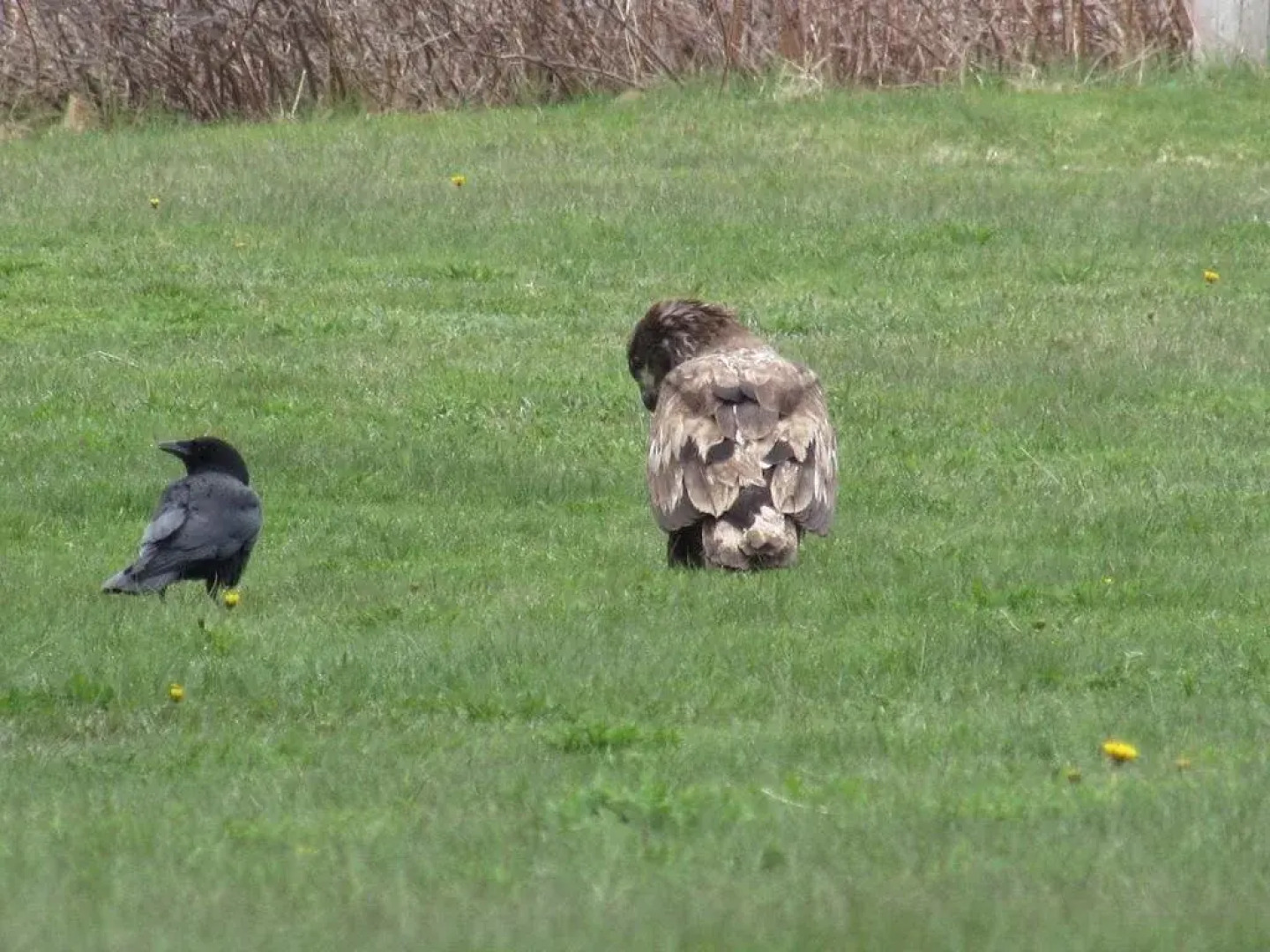 Seascape Coastal Retreat ADULTS ONLY