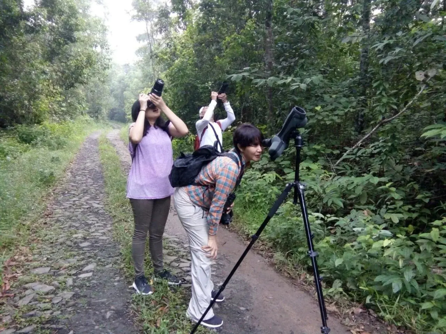 The Satwa Elephant Ecolodge