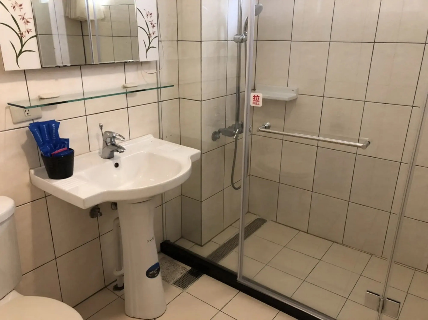 Cingjing Brilliant Twins of Seattle