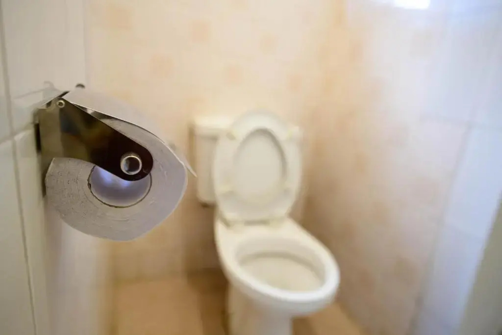 Cycad Entebbe Guest House