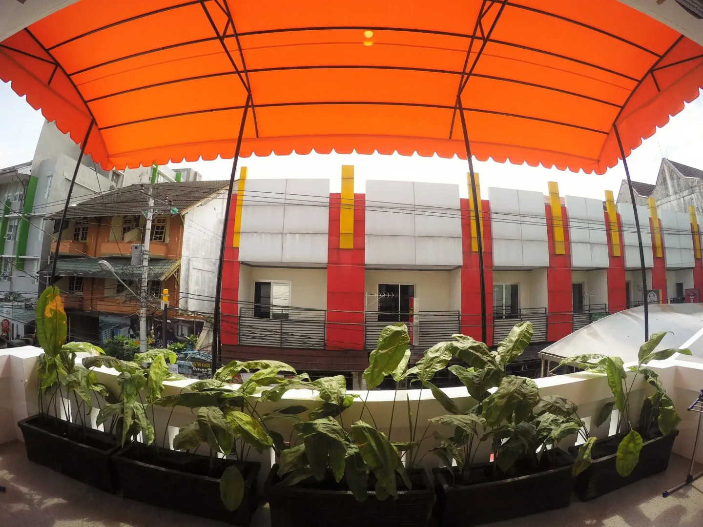 The Packer Lodge Yogyakarta - Hostel