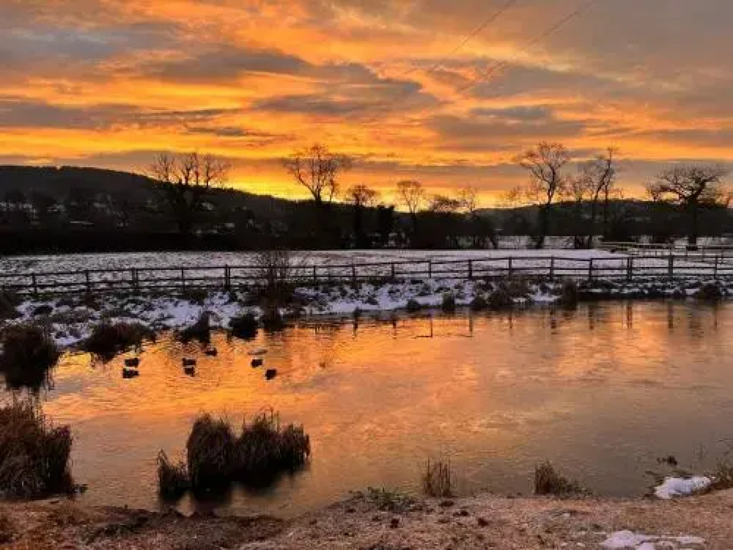 The Saddlery Cheshire