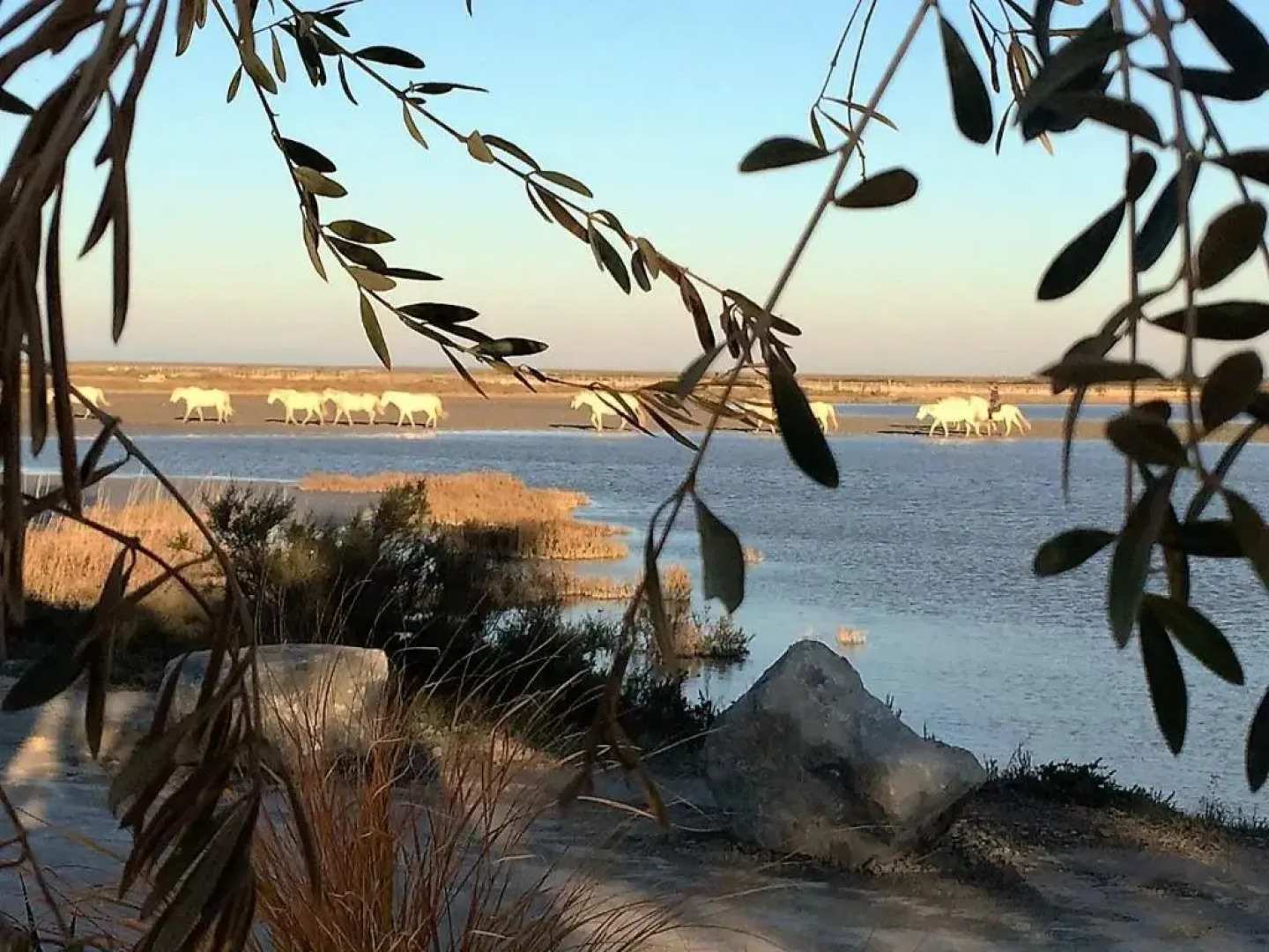 Mas des Rièges & Spa