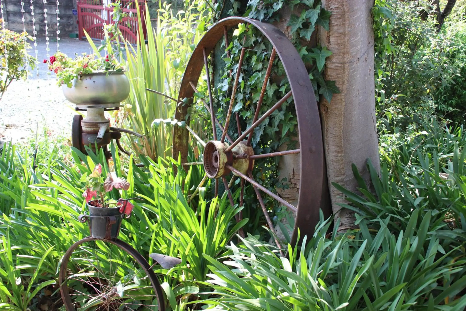 Top House Bed & Breakfast