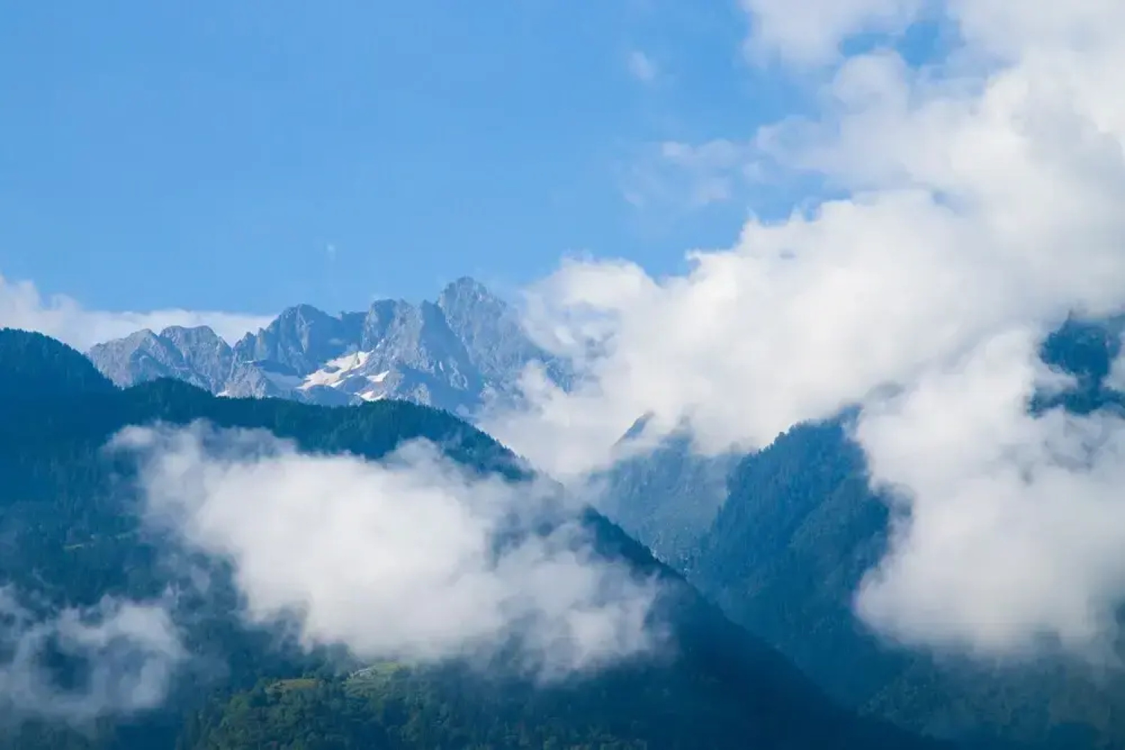 Ca' la Vedescia