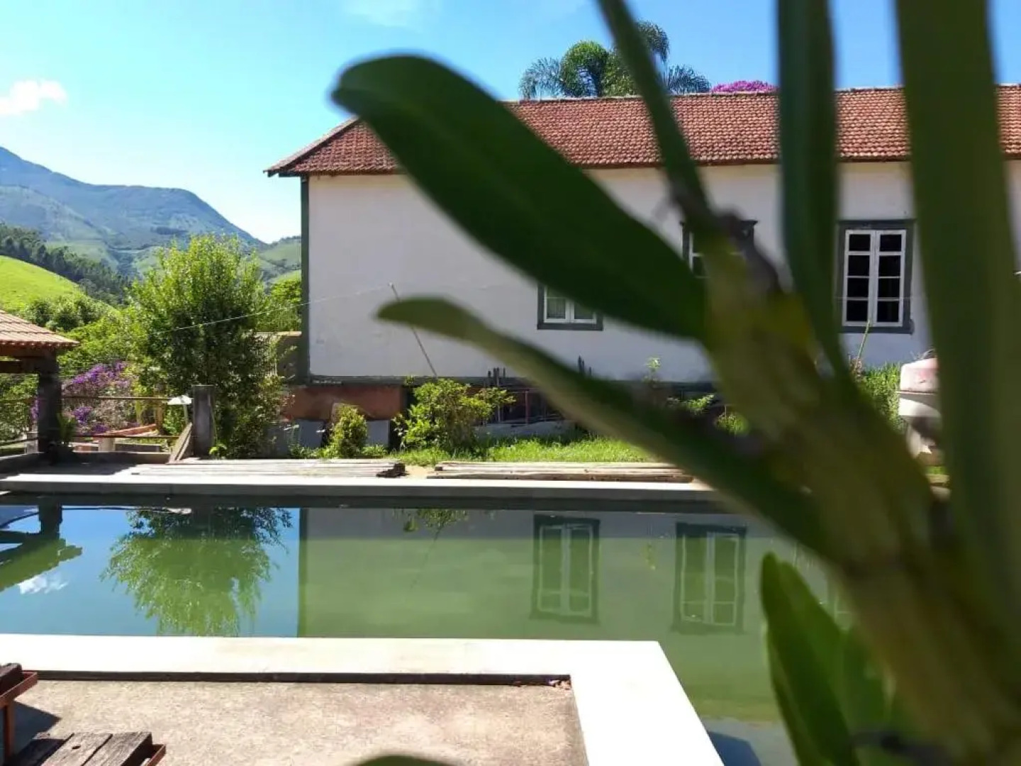 Hostel Pousada Harpia