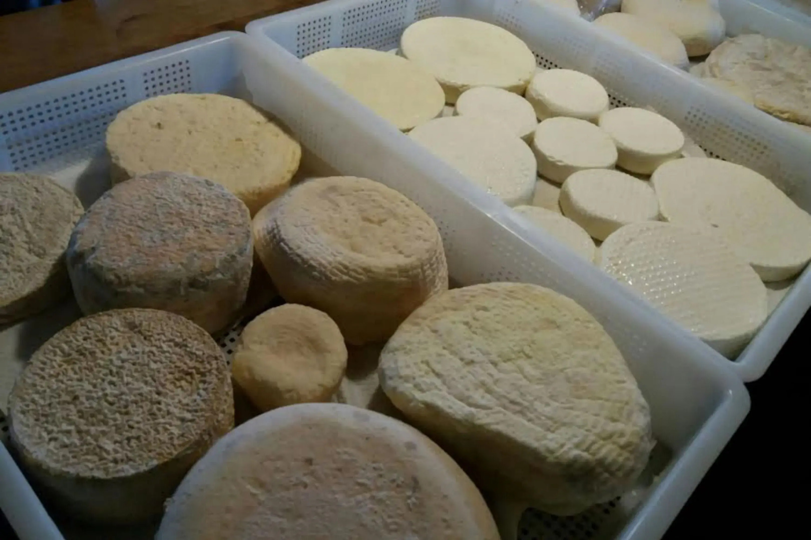 Agriturismo il Filo di Paglia