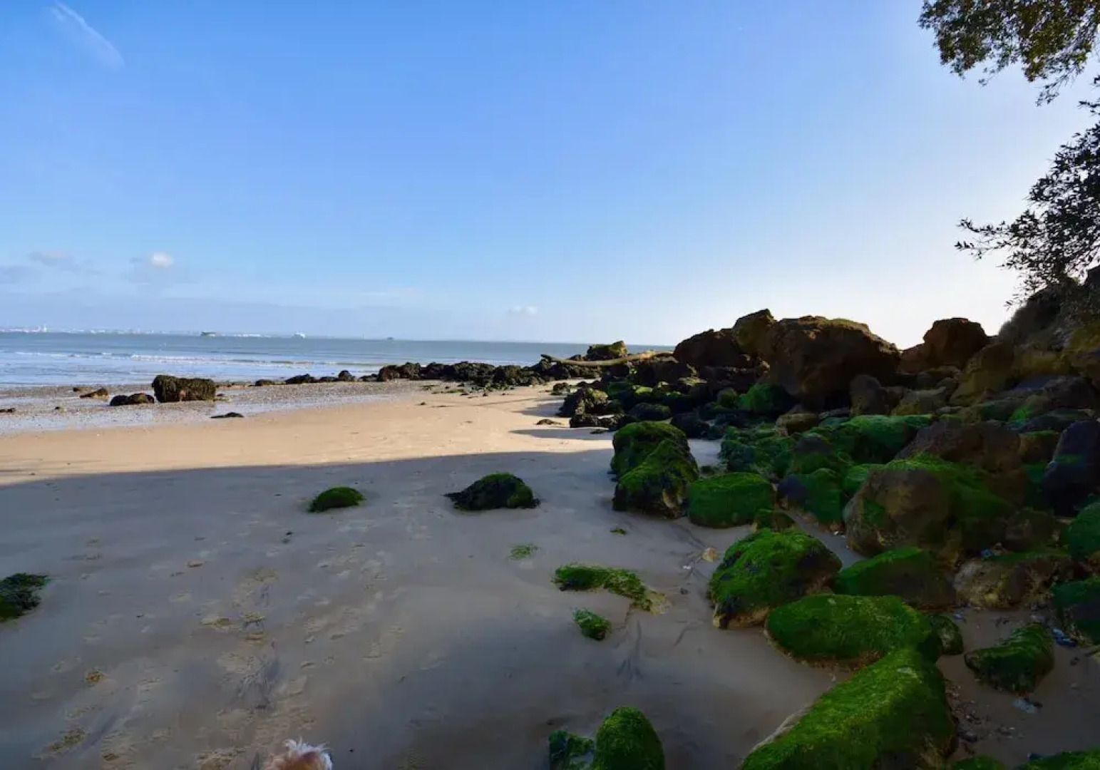 Bluebell is a Stunning Lake Side Lodge Sleeps 4 Close to Ryde